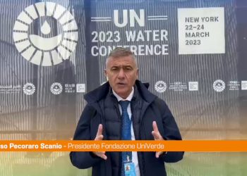 Acqua, Pecoraro Scanio “Onu troppo debole, serve più coraggio”