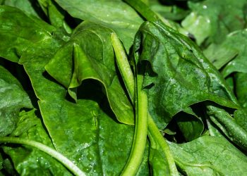 Ipercolesterolemia: sintomi e dieta