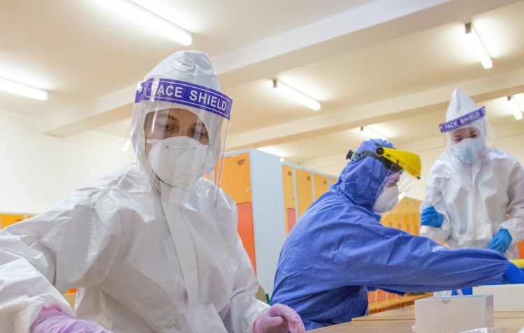 Influenza aviaria, il virus H5N1 è mutato: bambina uccisa da variante virus