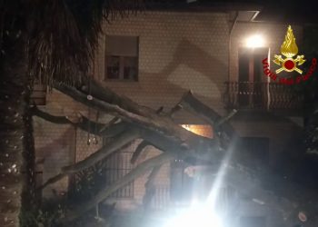 Maltempo, decine di interventi dei Vigili del Fuoco di Forlì