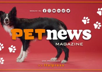 PetNews Magazine – 28/3/2023