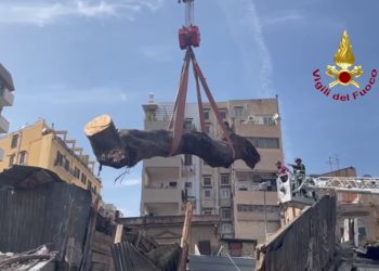 Rimosso albero caduto al Mercato delle pulci di Palermo