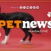 PetNews Magazine – 4/4/2023