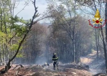 Vigili del fuoco impegnati in due incendi boschivi in Piemonte