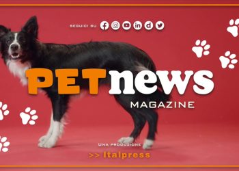 PetNews Magazine – 18/4/2023