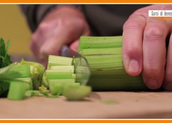 Sorsi di benessere – Sedano e mela per un gustoso frullato spezzafame