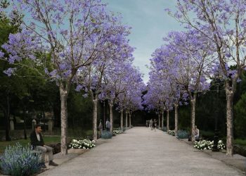 Al via il restauro dei Giardini Iblei. Ecco la dichiarazione del sindaco di Ragusa, Peppe Cassì. “Più simile all’aspetto originale.