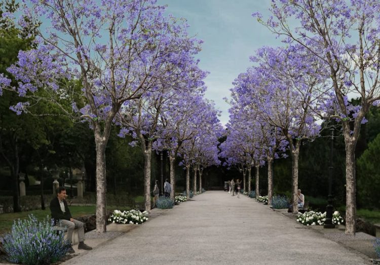 Al via il restauro dei Giardini Iblei. Ecco la dichiarazione del sindaco di Ragusa, Peppe Cassì. “Più simile all’aspetto originale.