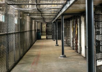 Orrore in Georgia, detenuto mangiato vivo da insetti e cimici