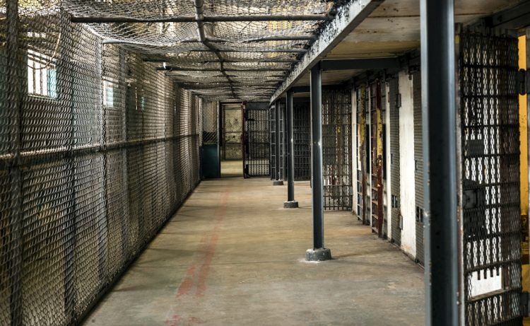 Orrore in Georgia, detenuto mangiato vivo da insetti e cimici