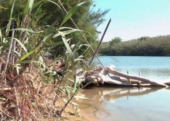 Fiume Irminio, allarme inquinamento: Legambiente chiede interventi urgenti