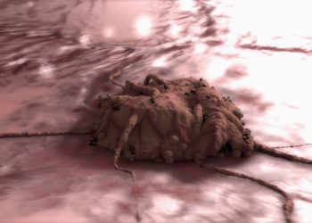 Una molecola consente alle cellule tumorali di sopravvivere