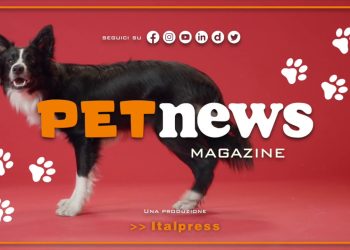 PetNews Magazine – 11/4/2023