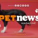 PetNews Magazine – 11/4/2023