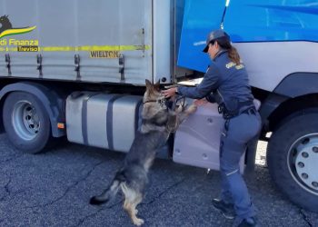 Treviso, nascondeva su un Tir 280mila euro in contanti. Denunciato
