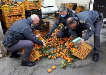Sgominata banda dedita al traffico di droga tra Calabria e Sicilia