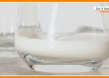 Sorsi di benessere – Ecco una colazione gustosa, sane e proteica