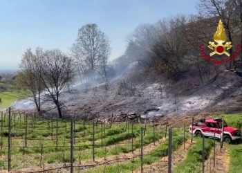 San Colombano al Lambro, incendio nel sottobosco. Lambite abitazioni