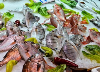 Dieta Plank: cos'è, come funziona e quali sono i rischi