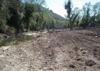 Legambiente Ragusa: stop ai lavori sul fiume Irminio