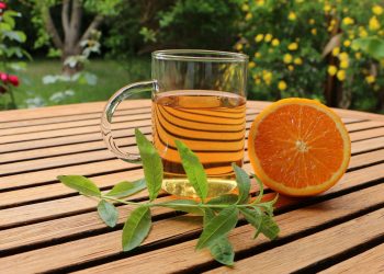 Tisana di primavera: una bevanda per il corpo e la mente