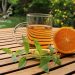 Tisana di primavera: una bevanda per il corpo e la mente