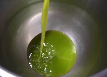 Agroalimentare, cresce il Pil nel quarto trimestre 2022