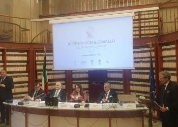 “Io sento con il cavallo”, la Fise in campo per l’inclusione