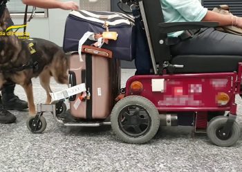 Otto chili di cocaina nella sedia a rotelle, arrestato a Malpensa