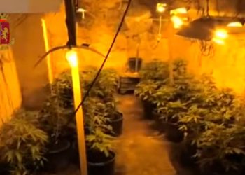 Scoperto a Vittoria un laboratorio della droga con 147 kg di cannabis