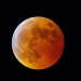 Stasera eclissi lunare penombrale di Luna: Ragusa e Siracusa il luogo migliore per vederla