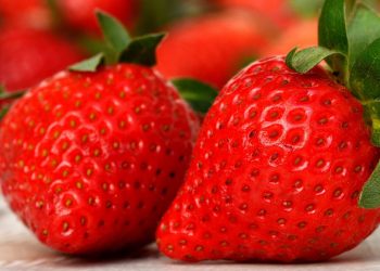 Fragole: i benefici per la salute
