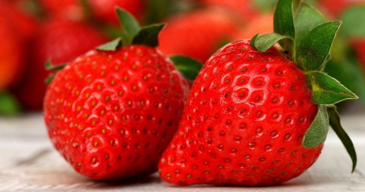 Fragole: i benefici per la salute