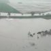 Alluvione in Emilia Romagna, allagamenti e abitazioni evacuate