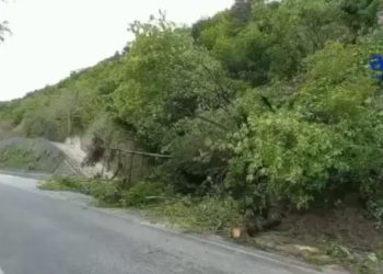 Il fiume Lamone in piena a Mezzano, le immagini