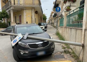 Maltempo Scicli: alberi caduti, pali divelti e tabelloni pericolanti FOTO