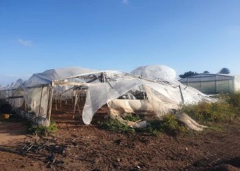 Vittoria, danni da maltempo. FdI: “Amministrazione comunale richieda con delibera stato di calamità naturale”.