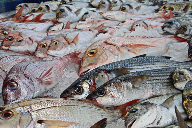 Ragusa, pubblicata la graduatoria provvisoria del mercato ittico di Marina di Ragusa