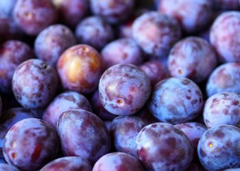 Prugne: un alleato per la perdita di peso!