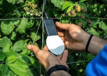 Agricoltura, un sistema di intelligenza artificiale a Comiso