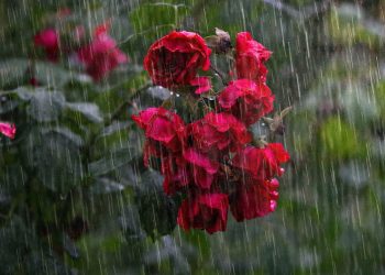 Maltempo, pioggia e tuoni su Modica