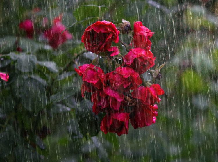 Maltempo, pioggia e tuoni su Modica