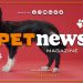 PetNews Magazine – 2/5/2023