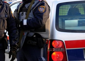 Orrore in Austria, chiude il figlio 12enne in gabbia del cane e lo lascia senza cibo