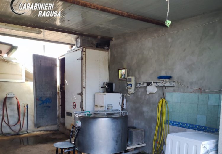 Carabinieri: scoperto caseificio abusivo e sospeso allevamento tra Ispica, Rosolini e Noto