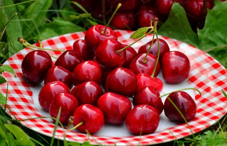 Dieta delle ciliegie a giugno: benefici per la salute e calorie