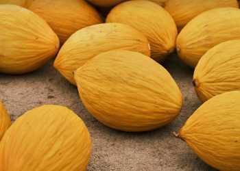Scopri la dieta del melone gialletto: il segreto per perdere peso e mantenersi in forma