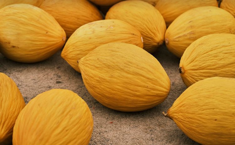 Scopri la dieta del melone gialletto: il segreto per perdere peso e mantenersi in forma
