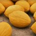 Scopri la dieta del melone gialletto: il segreto per perdere peso e mantenersi in forma