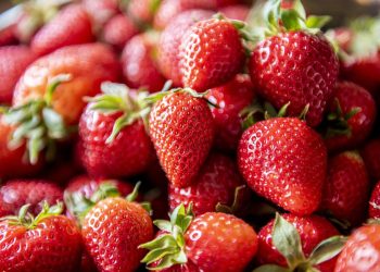 E' primavera: arrivano fave, fragole e seppie dal mare